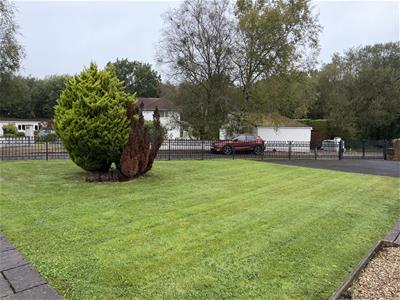Picture 21